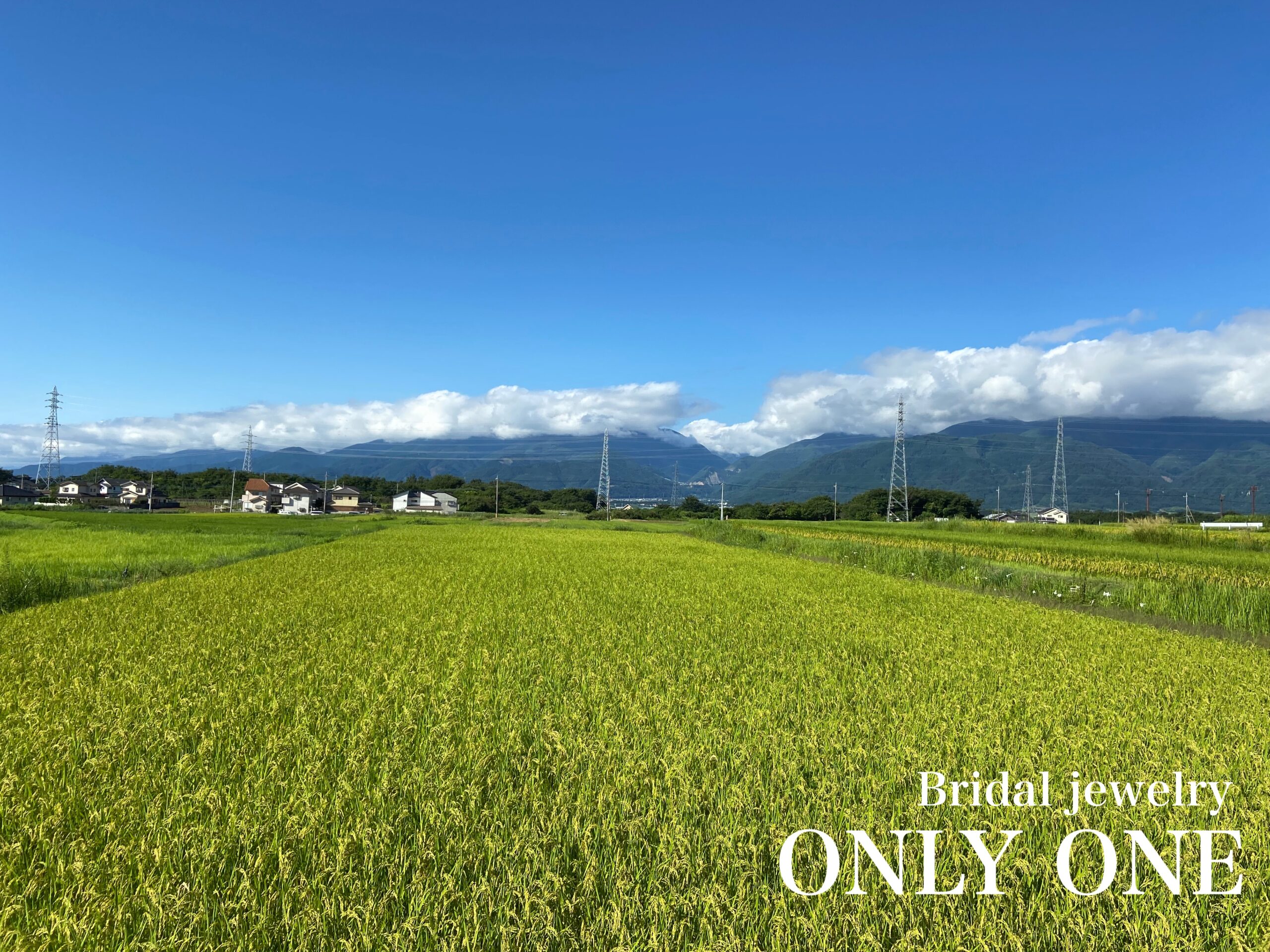 「田園風景」