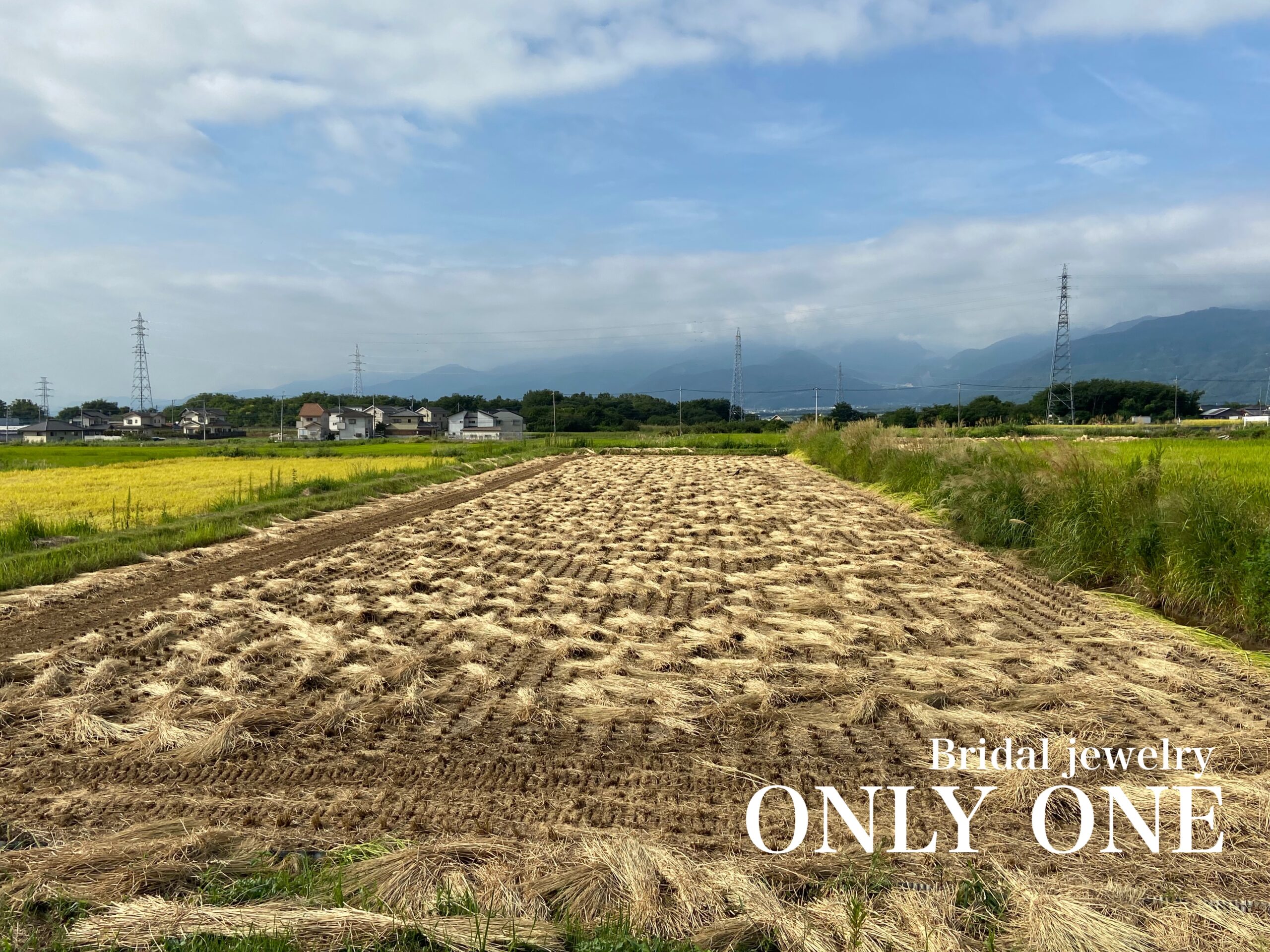 田園風景