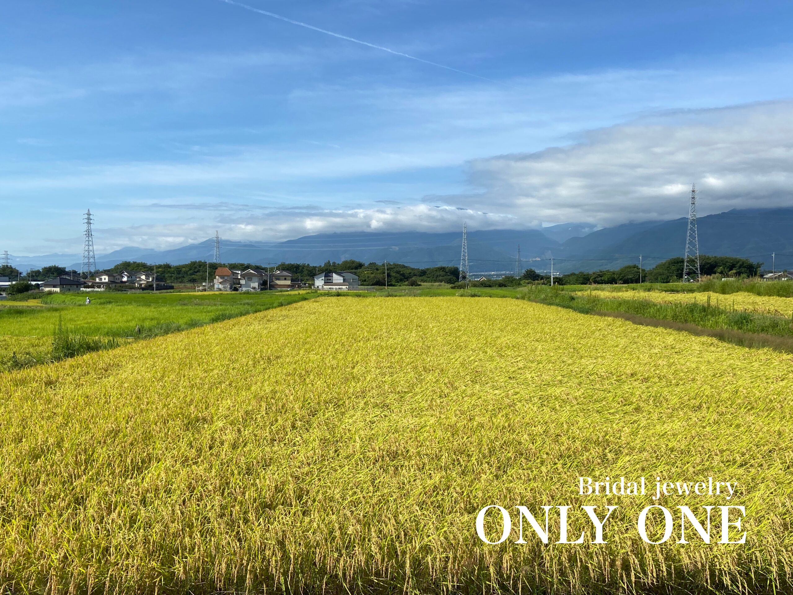 田園風景
