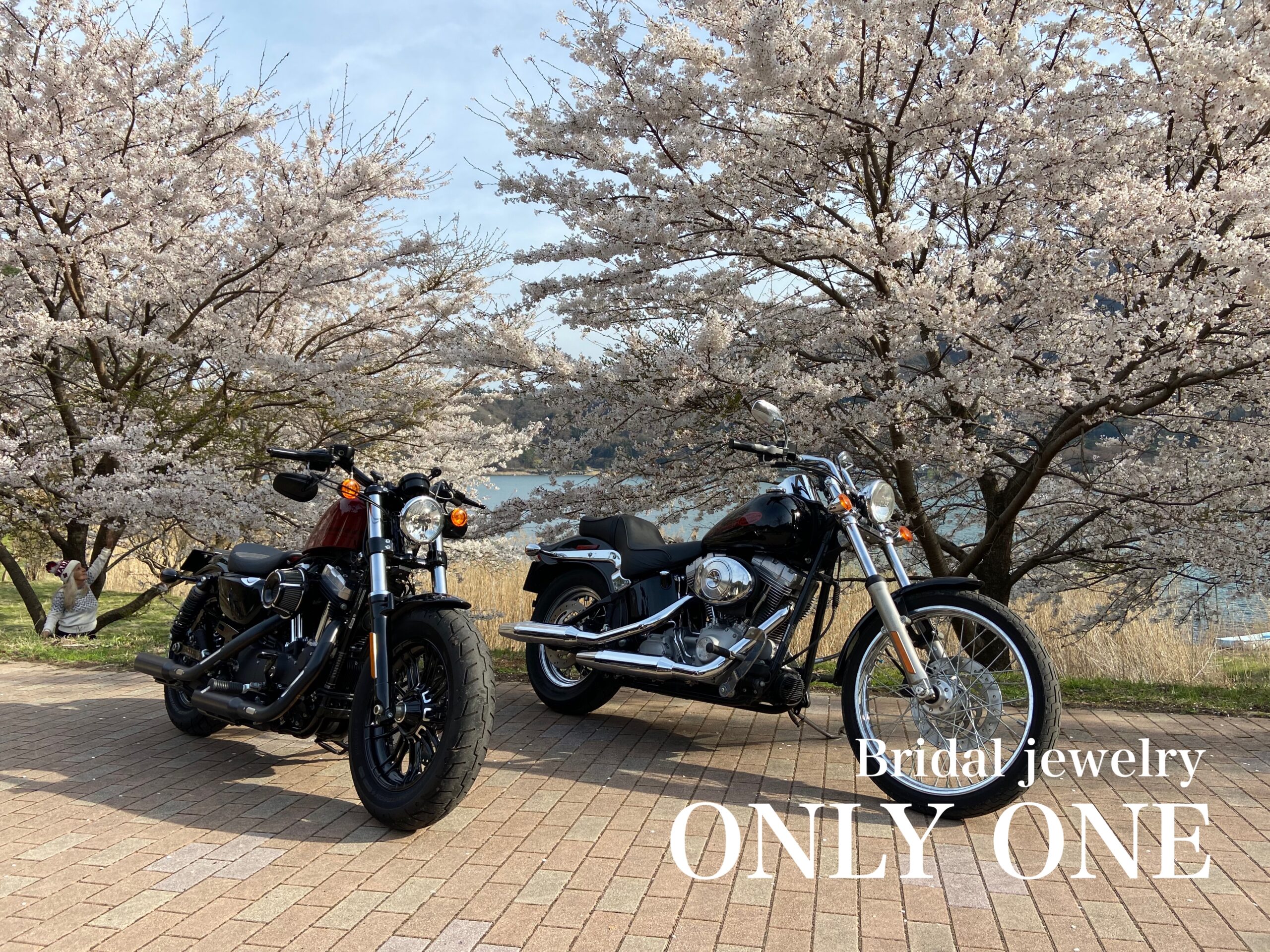 【山梨結婚指輪】お花見ツーリング/河口湖の桜