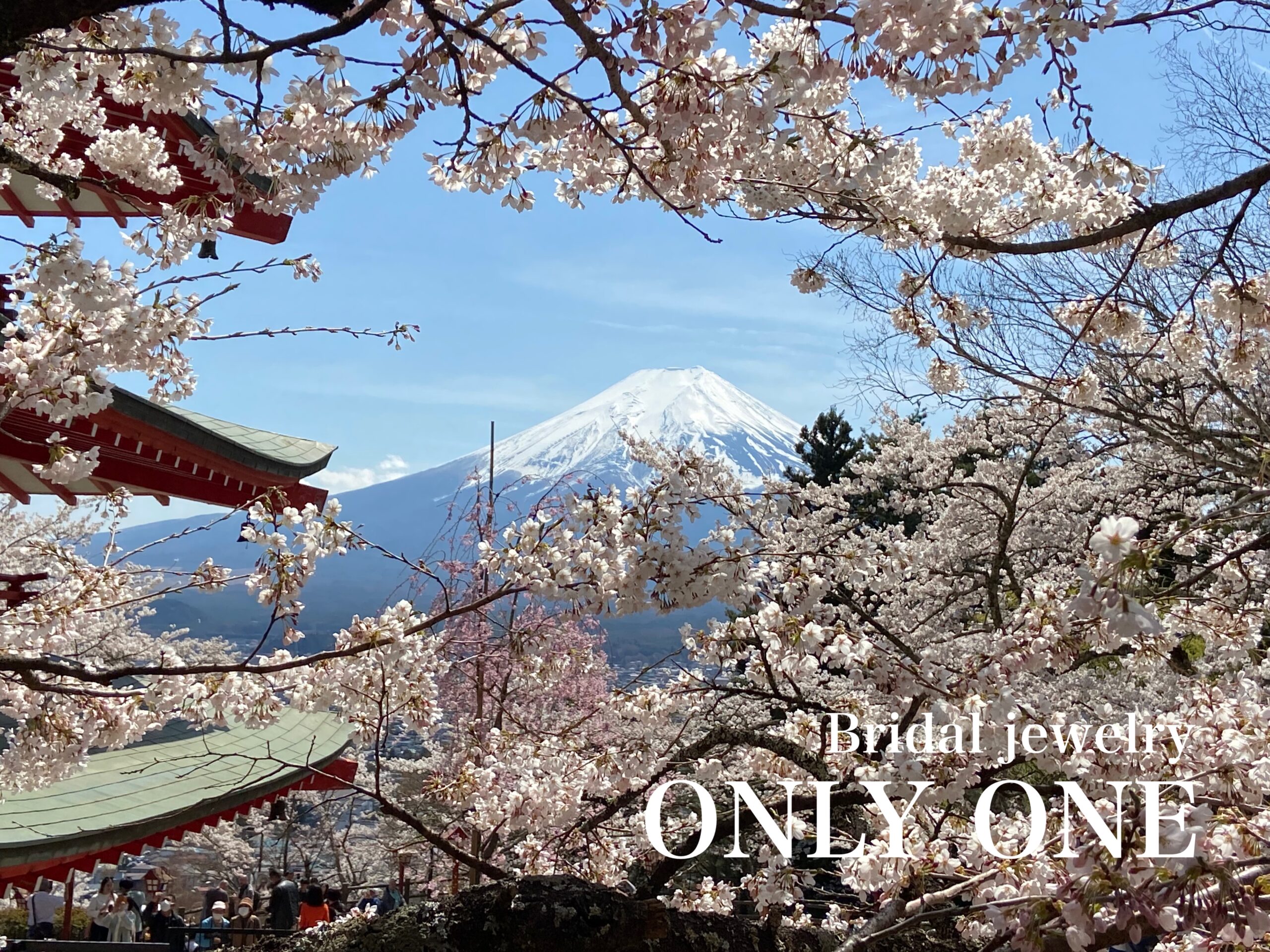 【山梨結婚指輪】新倉山浅間公園からの富士山&桜&慰霊塔