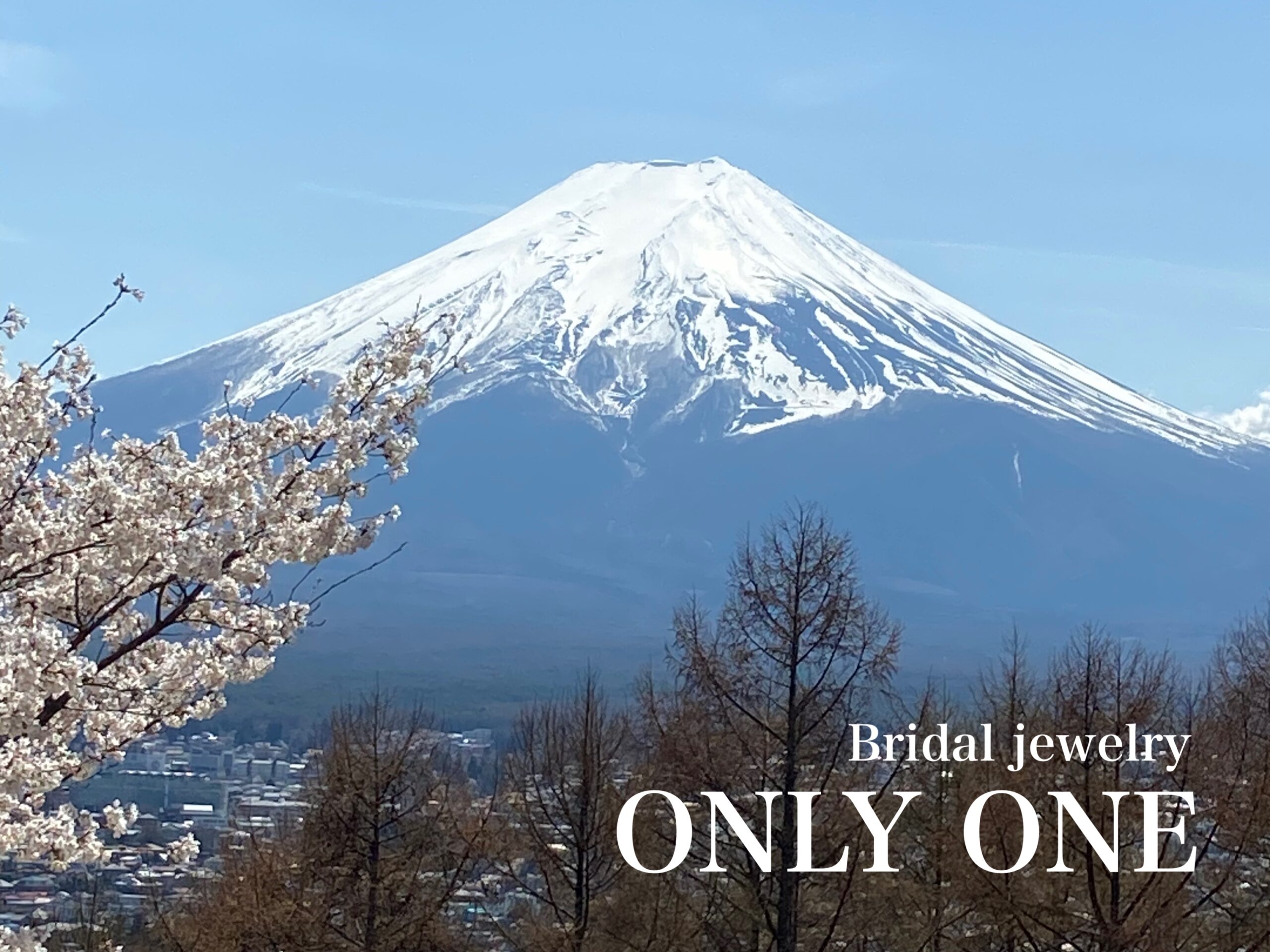 【山梨結婚指輪】新倉山浅間公園/富士山&桜