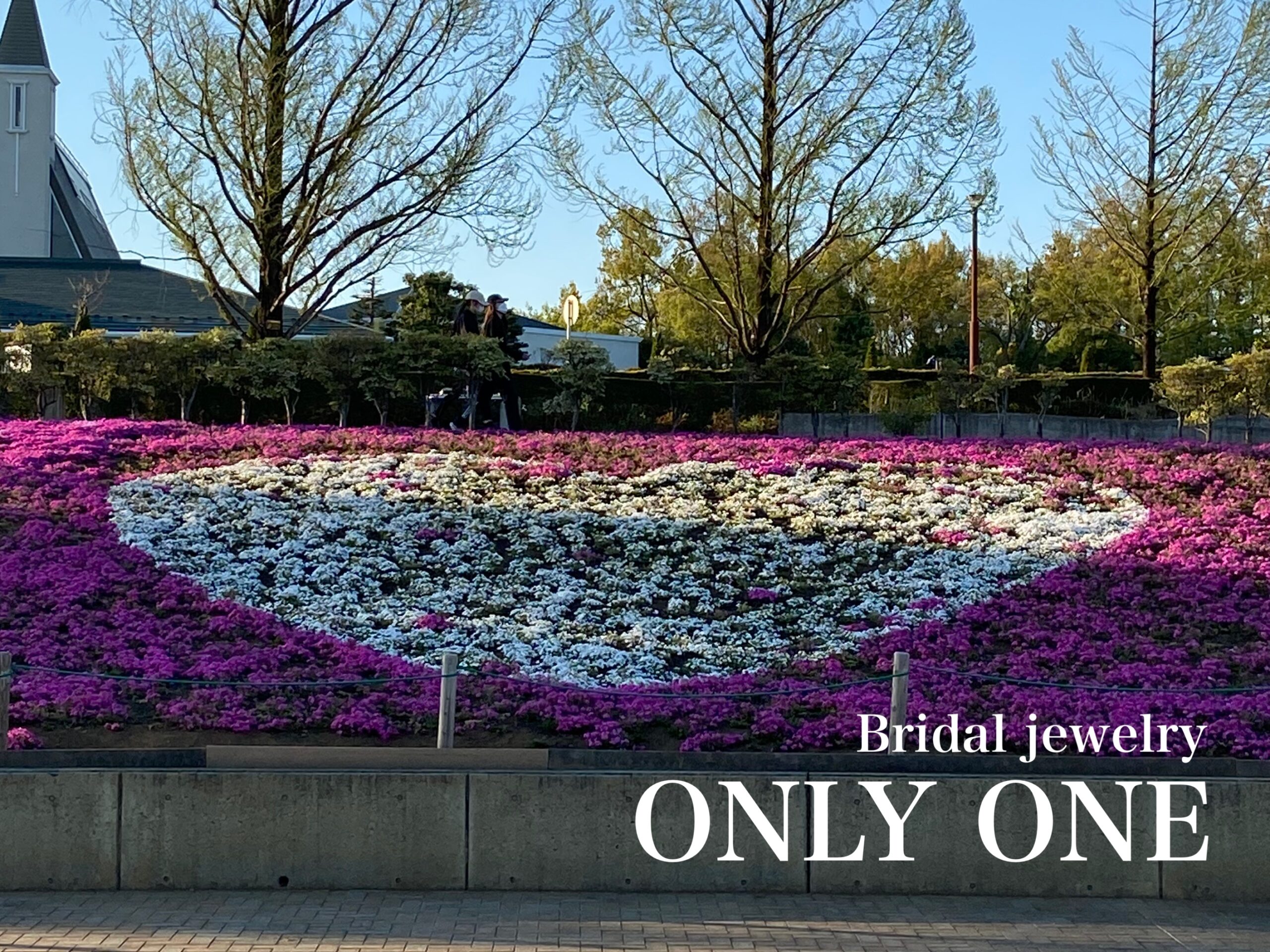 【山梨結婚指輪】ドラゴンパーク