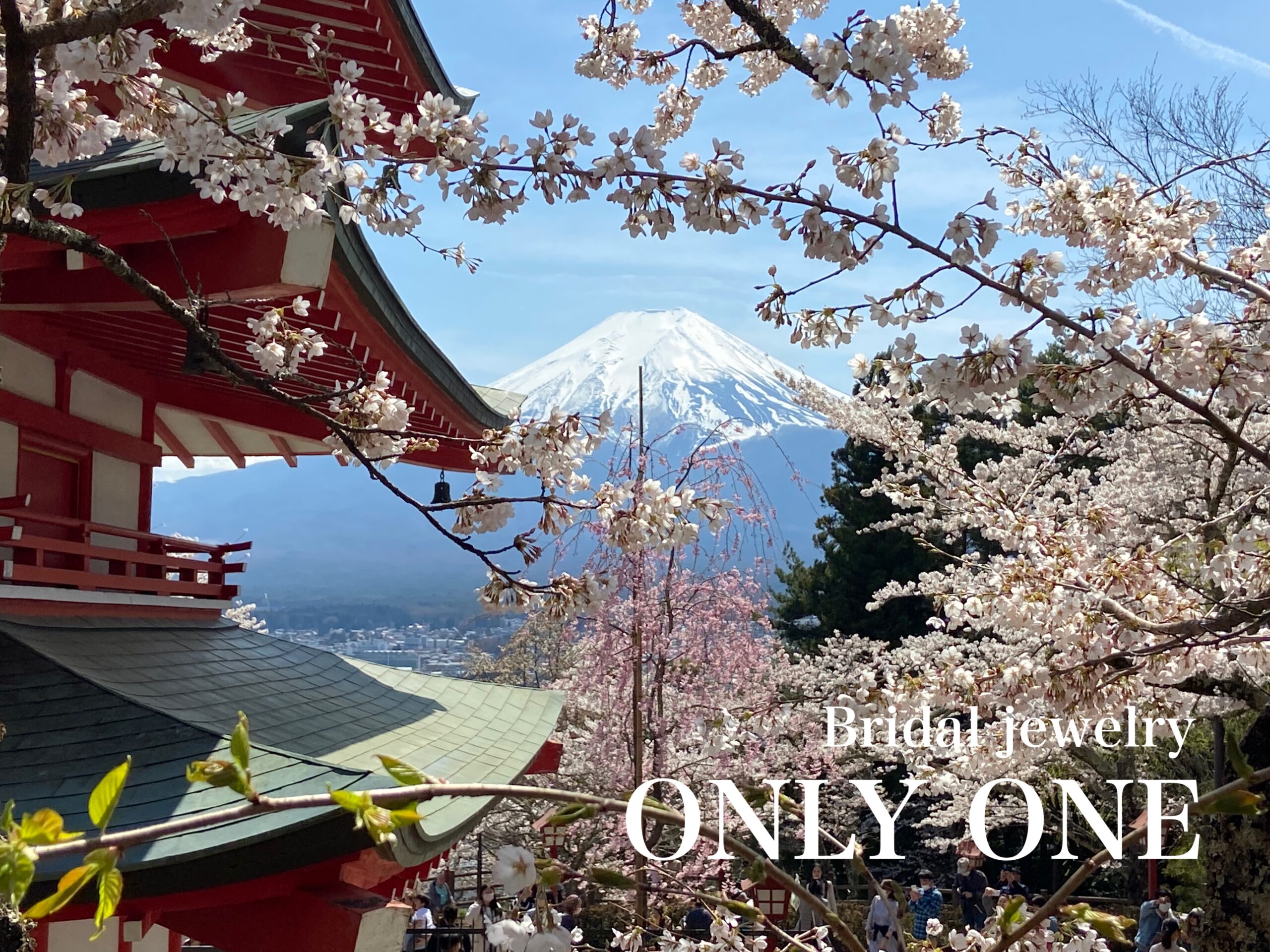 【山梨結婚指輪】桜の時期の新倉山浅間公園