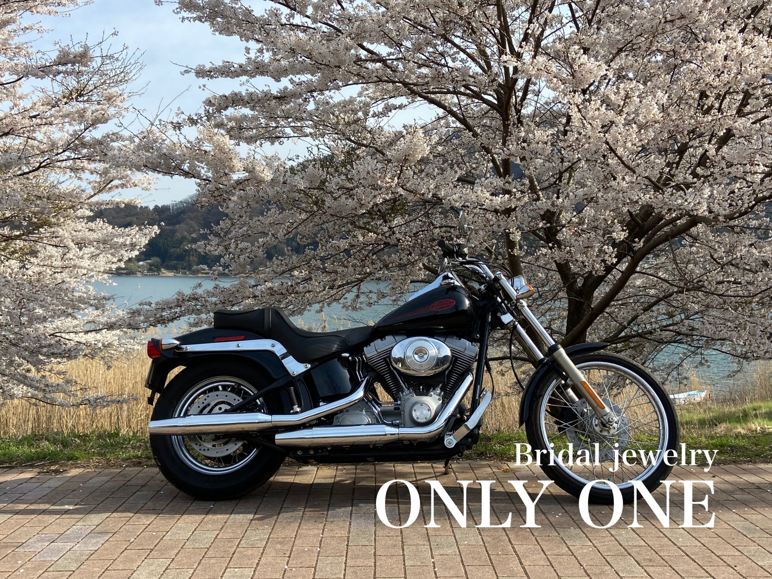 【山梨結婚指輪】お花見ツーリング/河口湖湖畔