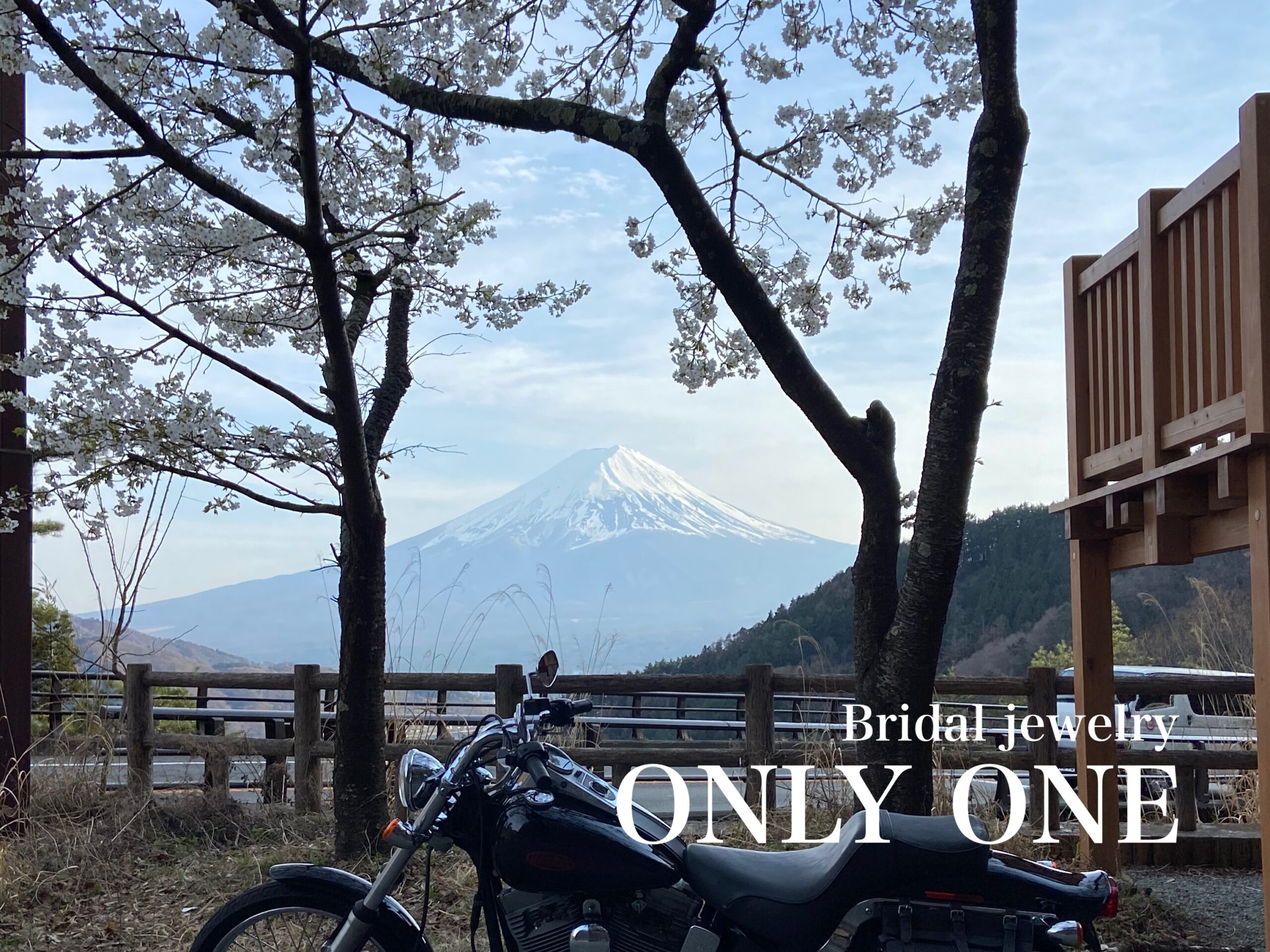 【山梨結婚指輪】富士山/お花見ツーリング