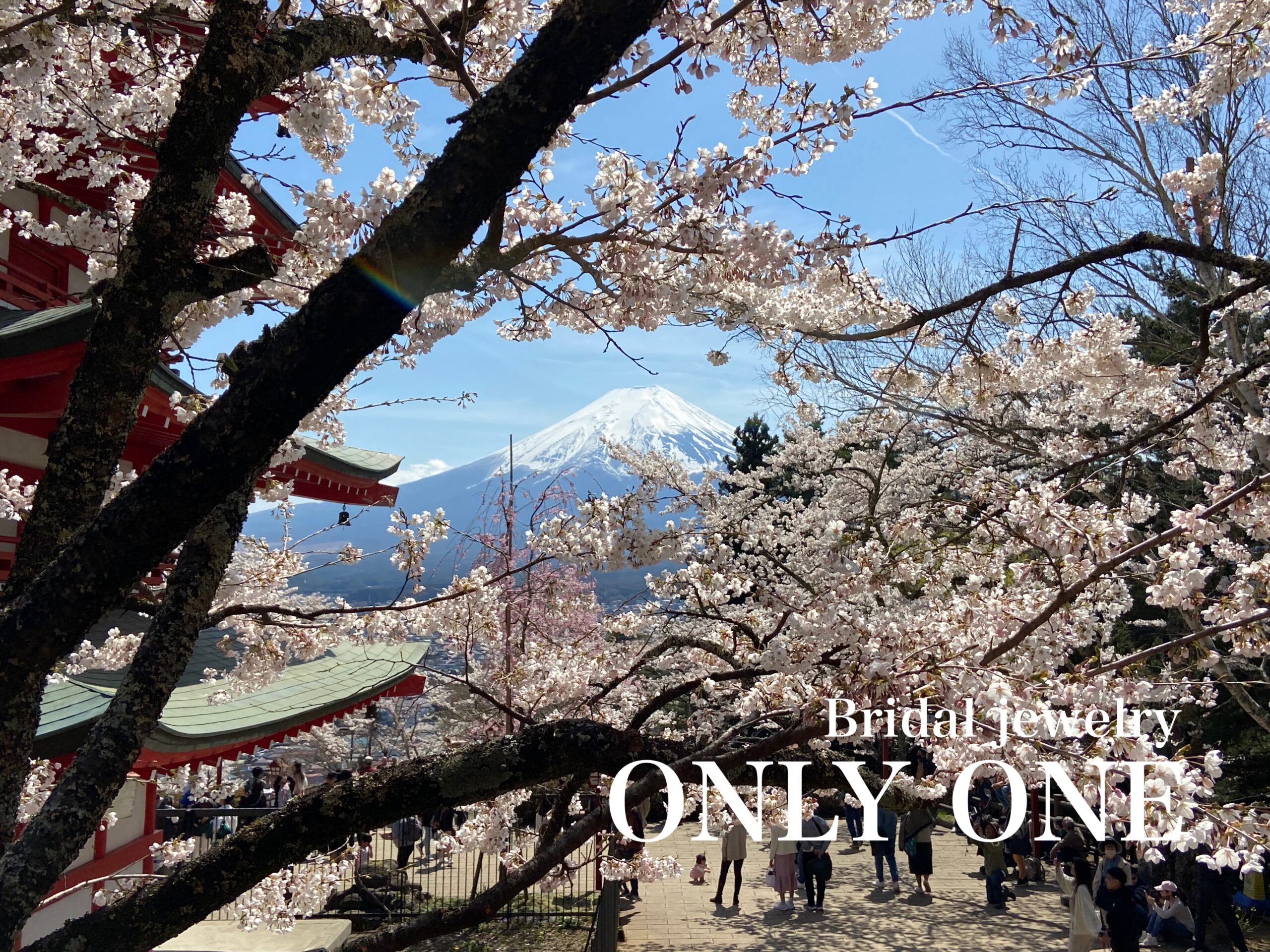 【山梨結婚指輪】新倉山浅間公園/お花見ツーリング