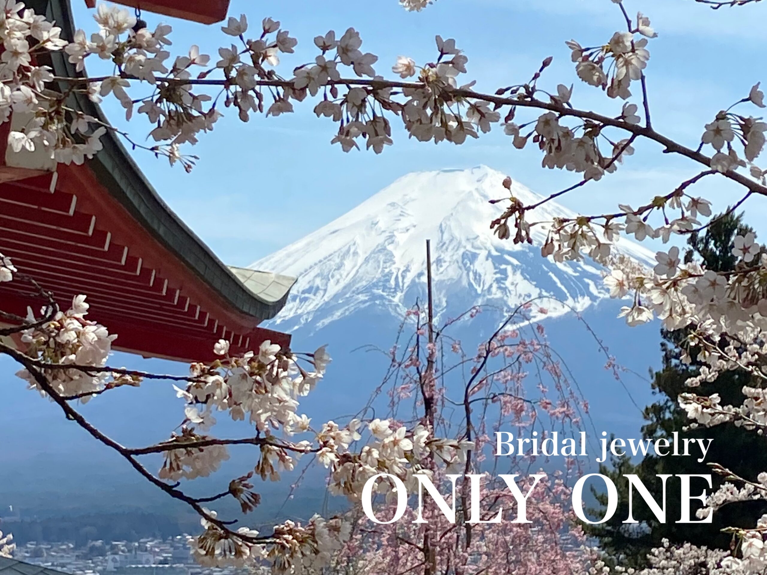 【山梨】新倉山浅間公園からの「富士山」