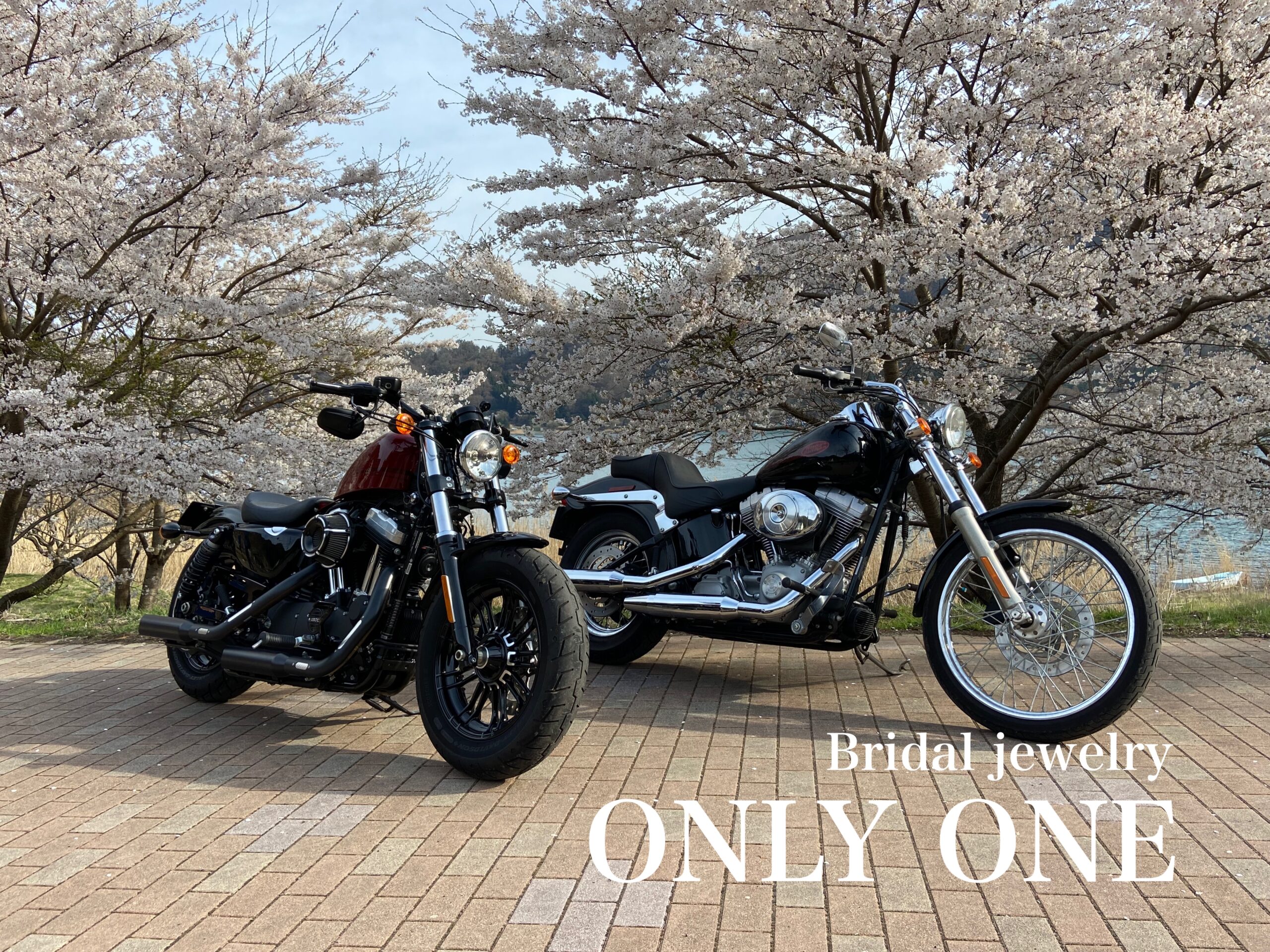 【山梨結婚指輪】お花見ツーリング/河口湖