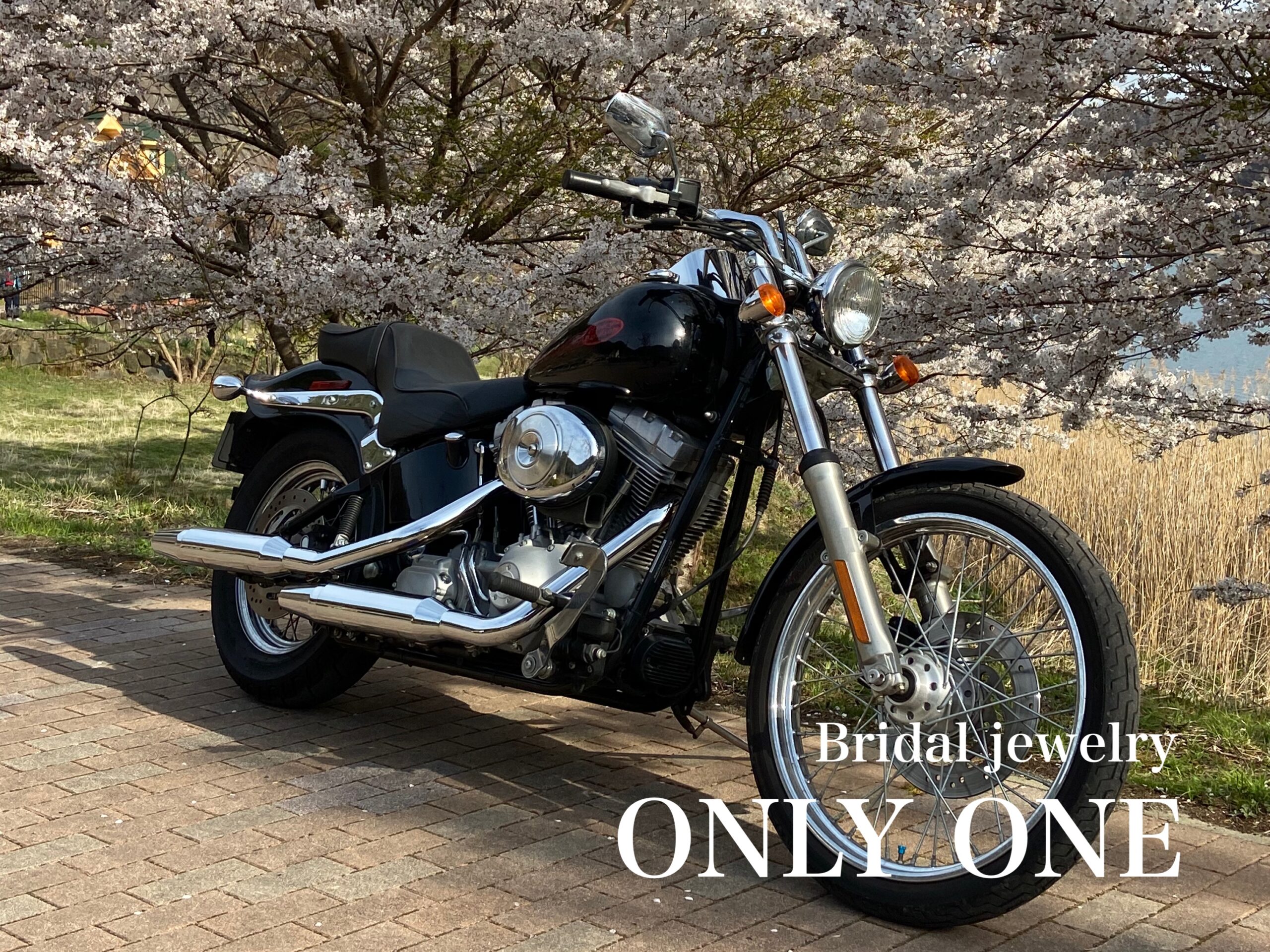 【山梨結婚指輪】お花見ツーリング