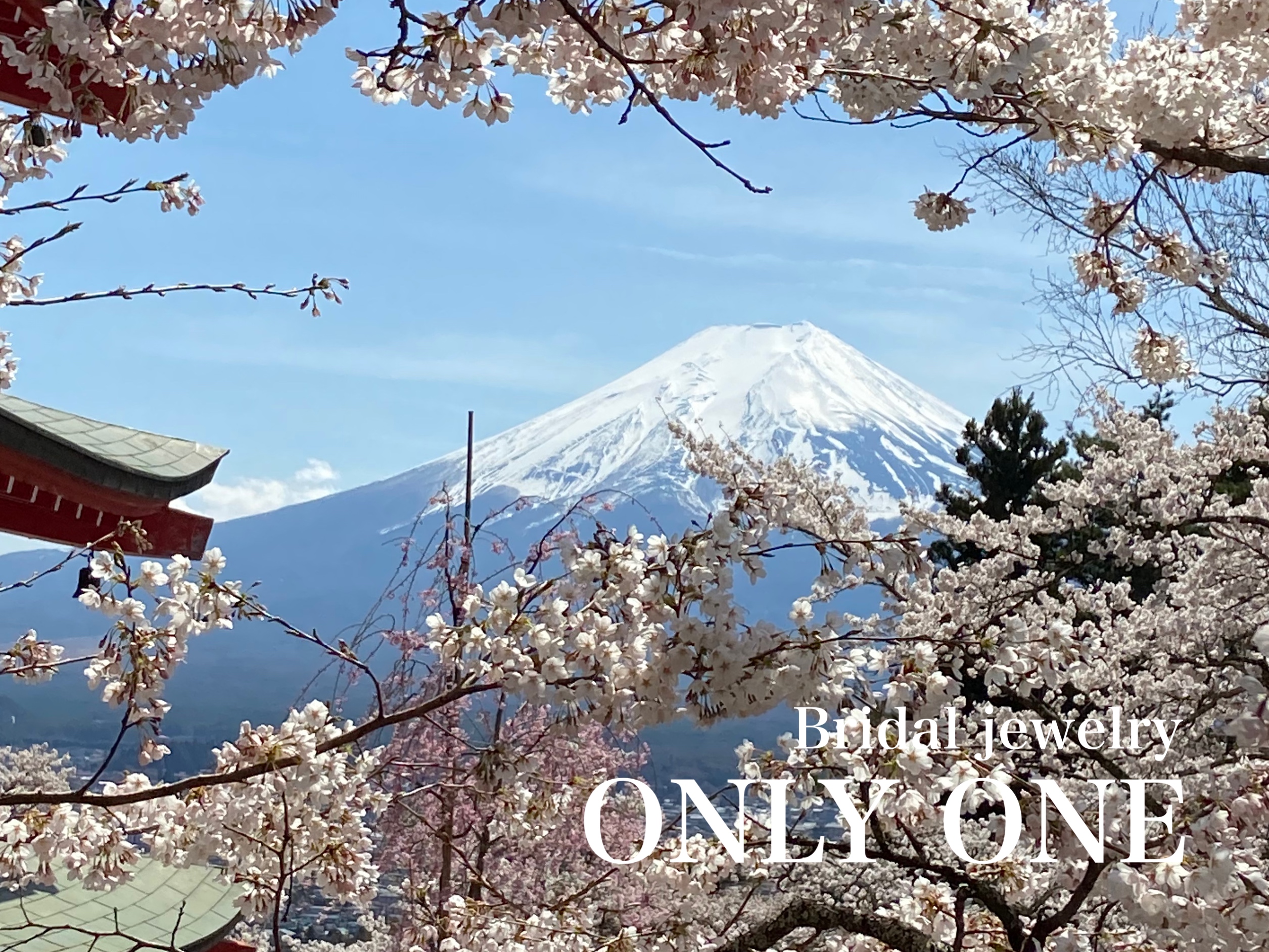 【山梨結婚指輪】春の新倉山浅間公園