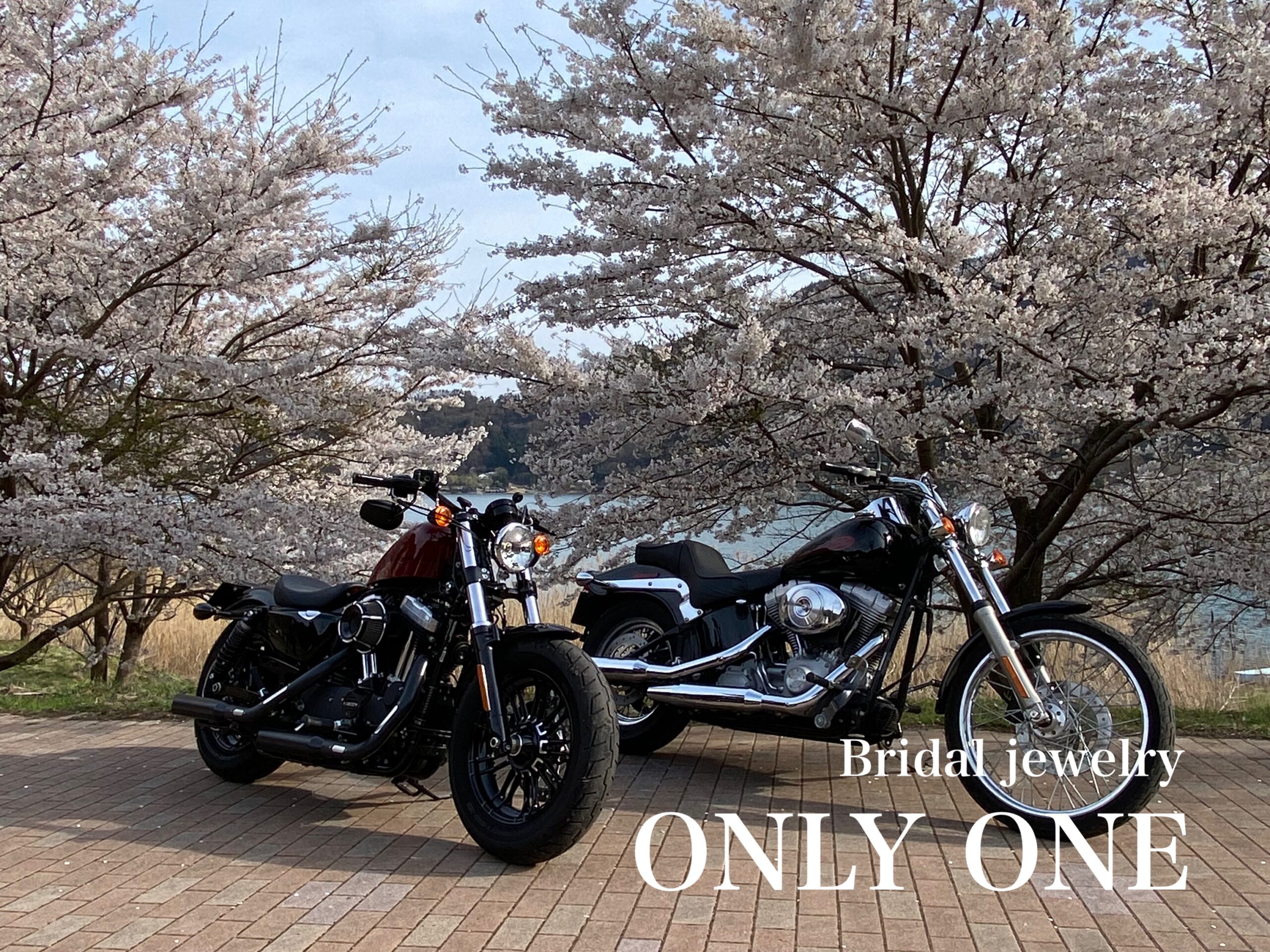 【山梨結婚指輪】お花見ツーリング/富士五湖