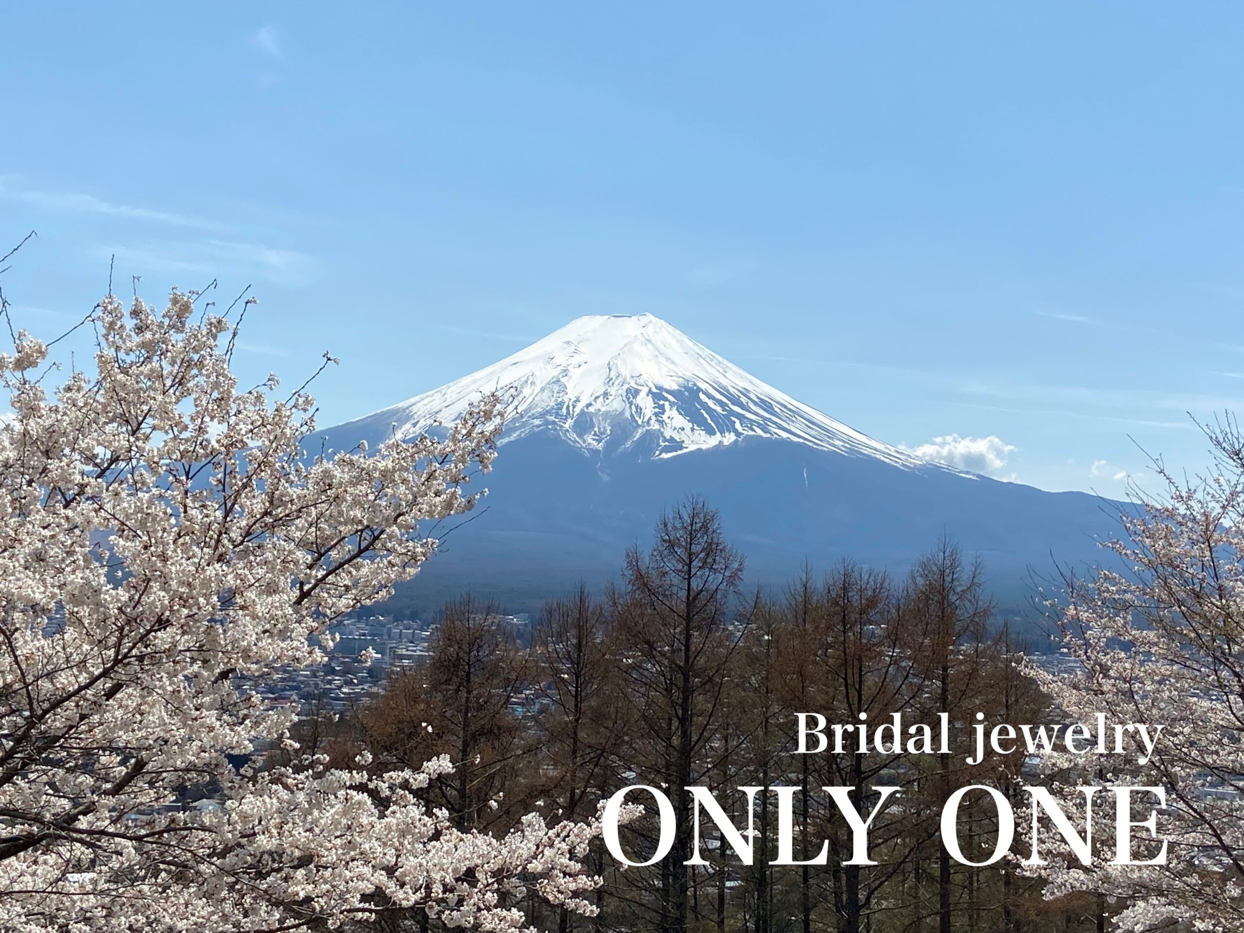 【山梨結婚指輪】大倉山浅間公園からの富士