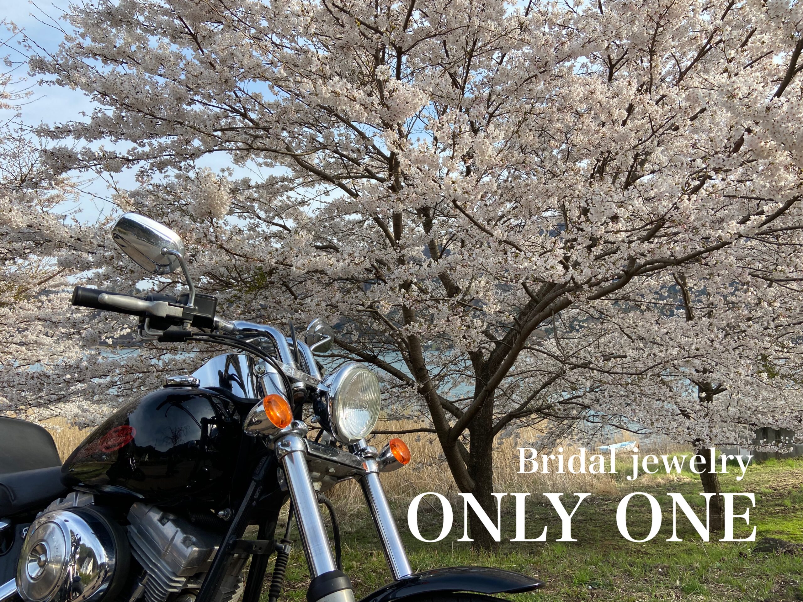 【山梨結婚指輪】お花見ツーリング富士五湖