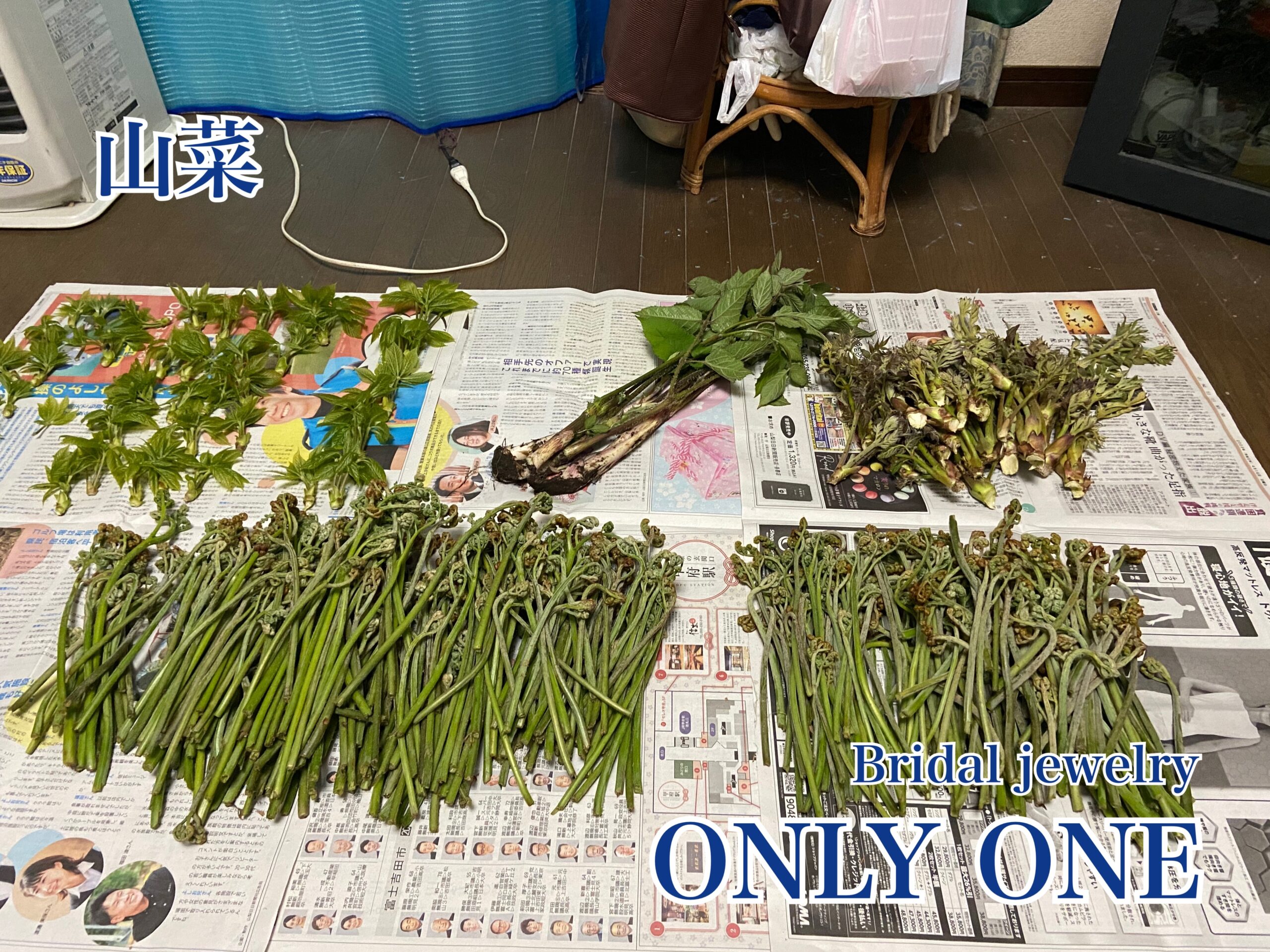 【山梨結婚指輪】山菜(自己採取)