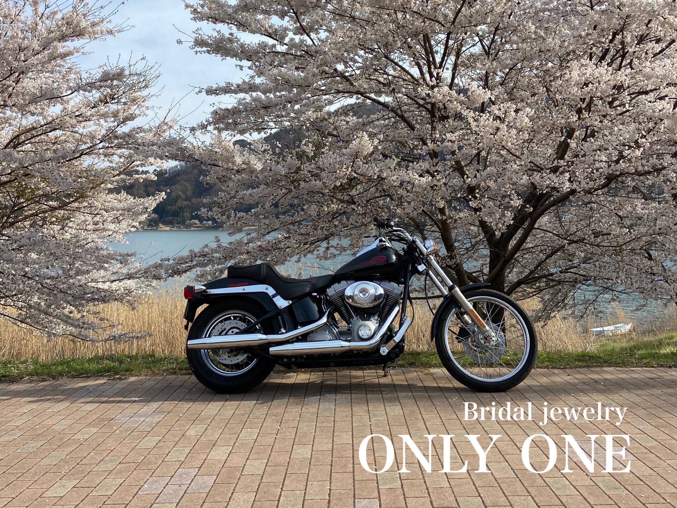 【山梨結婚指輪】河口湖お花見ツーリング