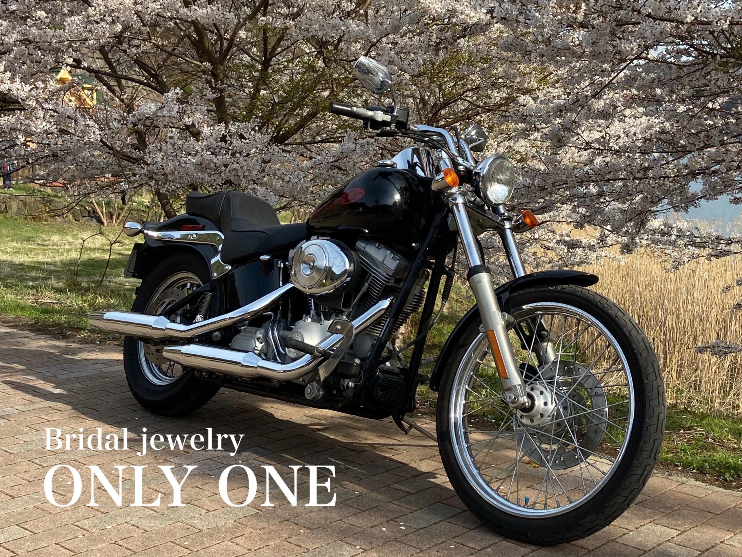 【山梨結婚指輪】お花見ツーリング