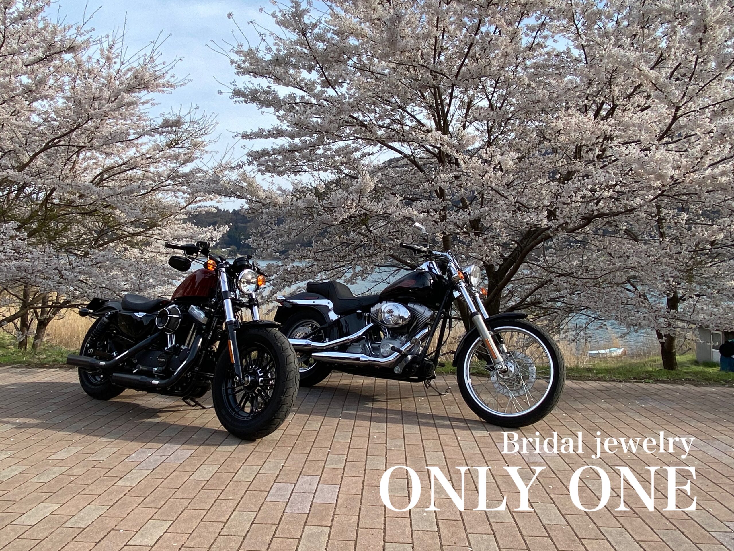 【山梨結婚指輪】友達とお花見ツーリング