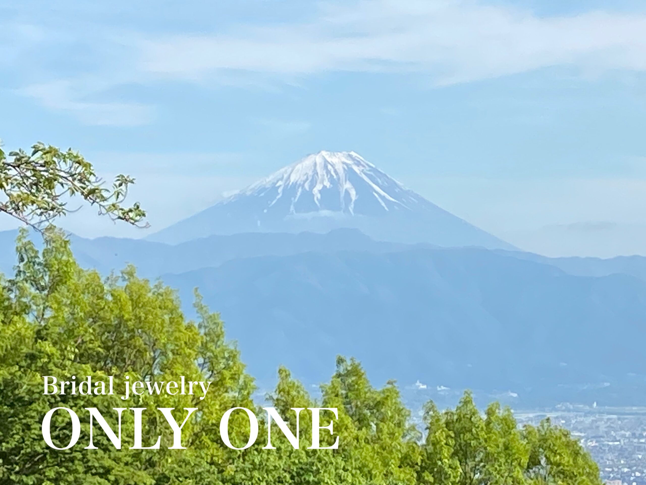 【山梨結婚指輪】武田の杜から見た富士山