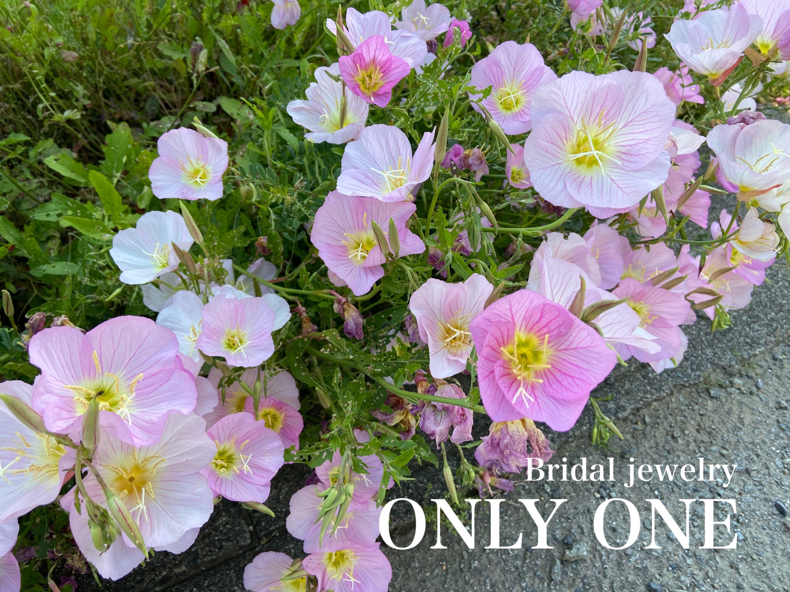 【山梨結婚指輪】淡いピンク色の花