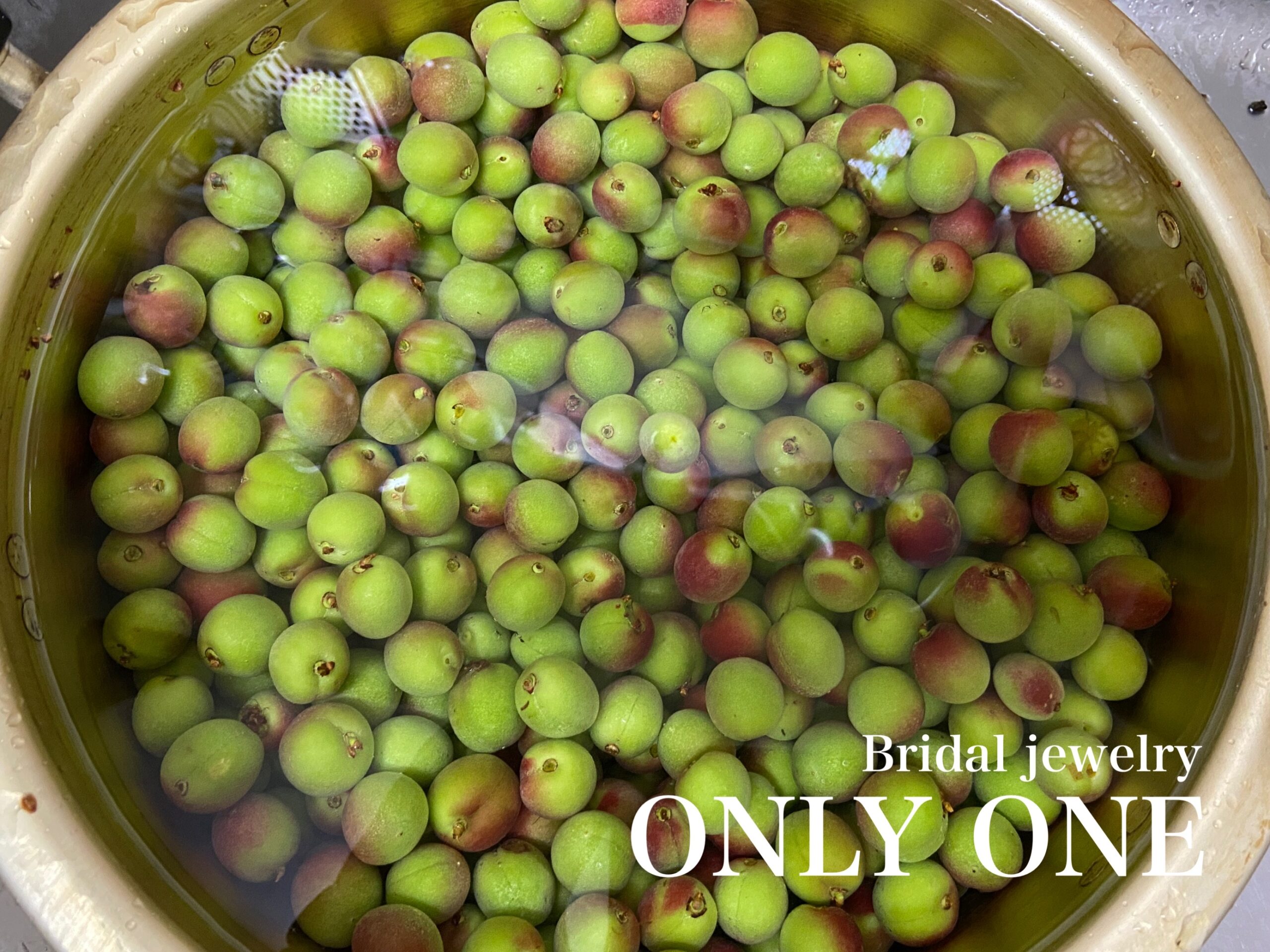 【山梨結婚指輪】甲州小梅収穫