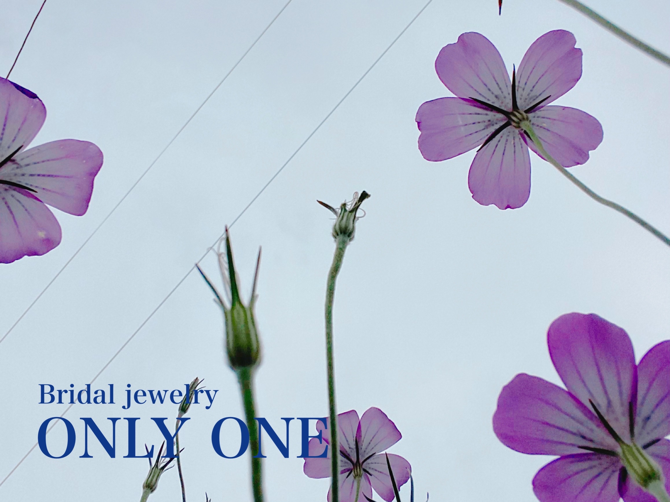 【山梨結婚指輪】ピンク色の花