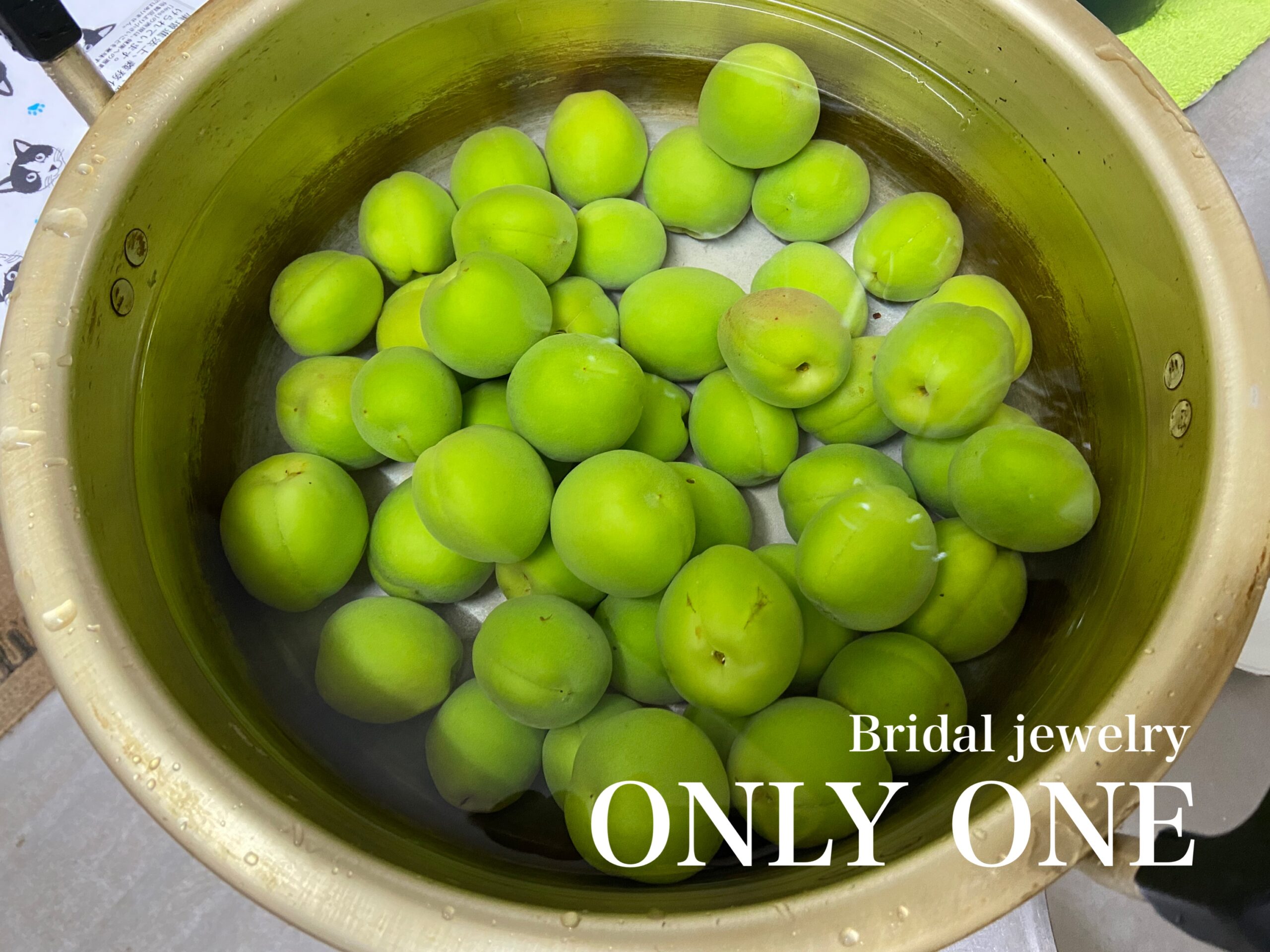 【山梨結婚指輪】白加賀梅