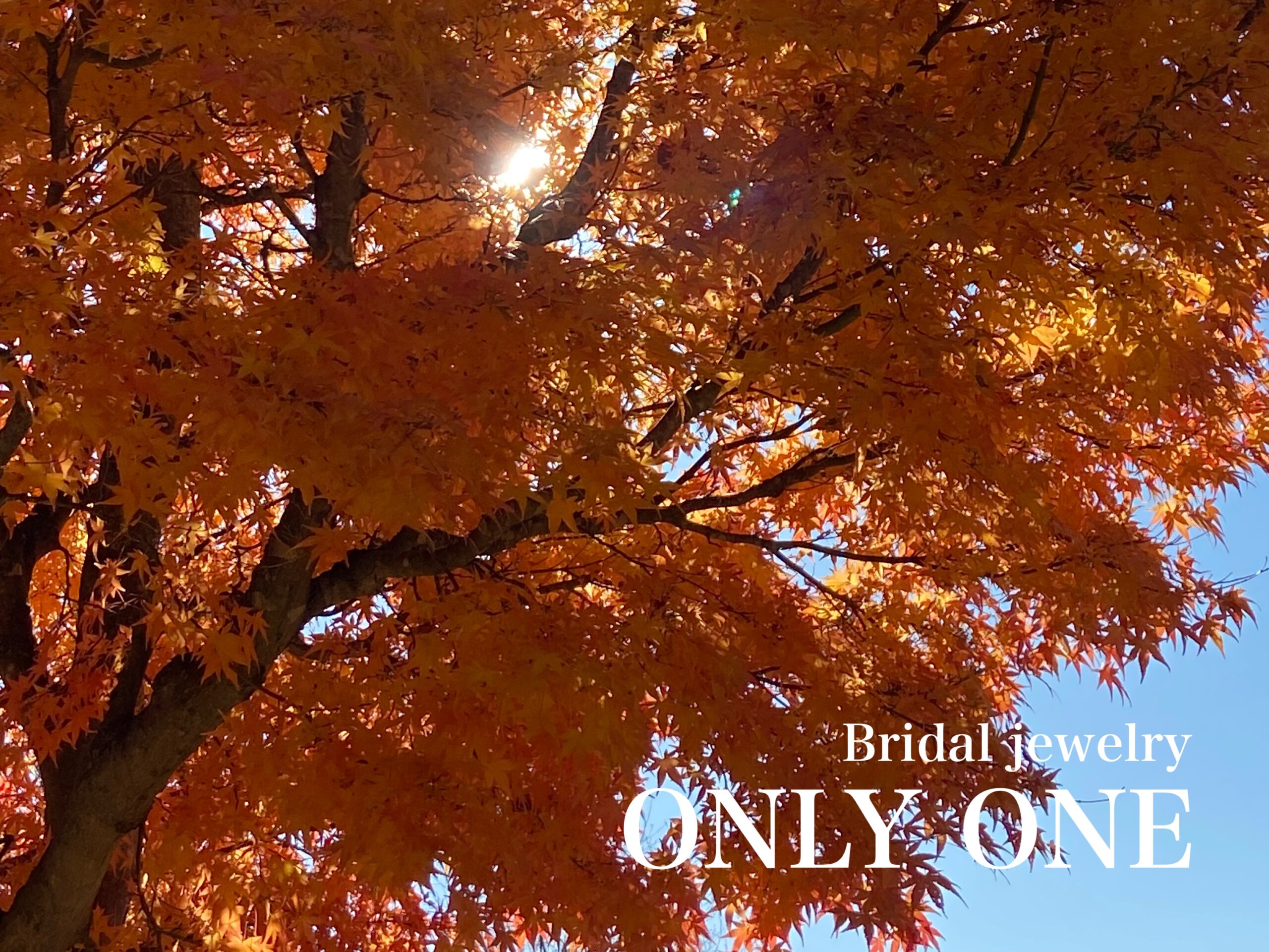 【山梨】林道ツーリング「瑞牆山自然公園の紅葉」