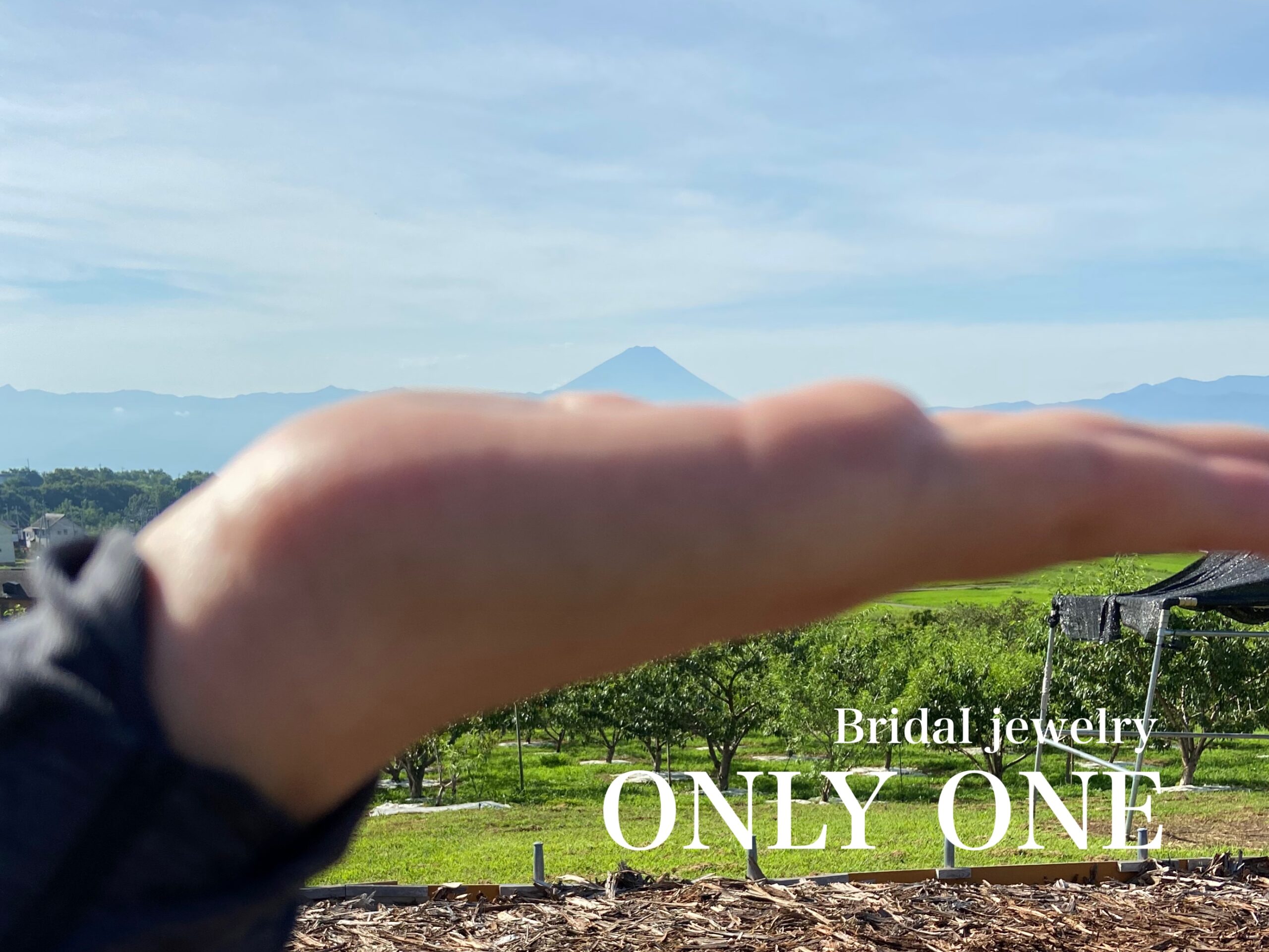 【山梨結婚指輪】手のり富士