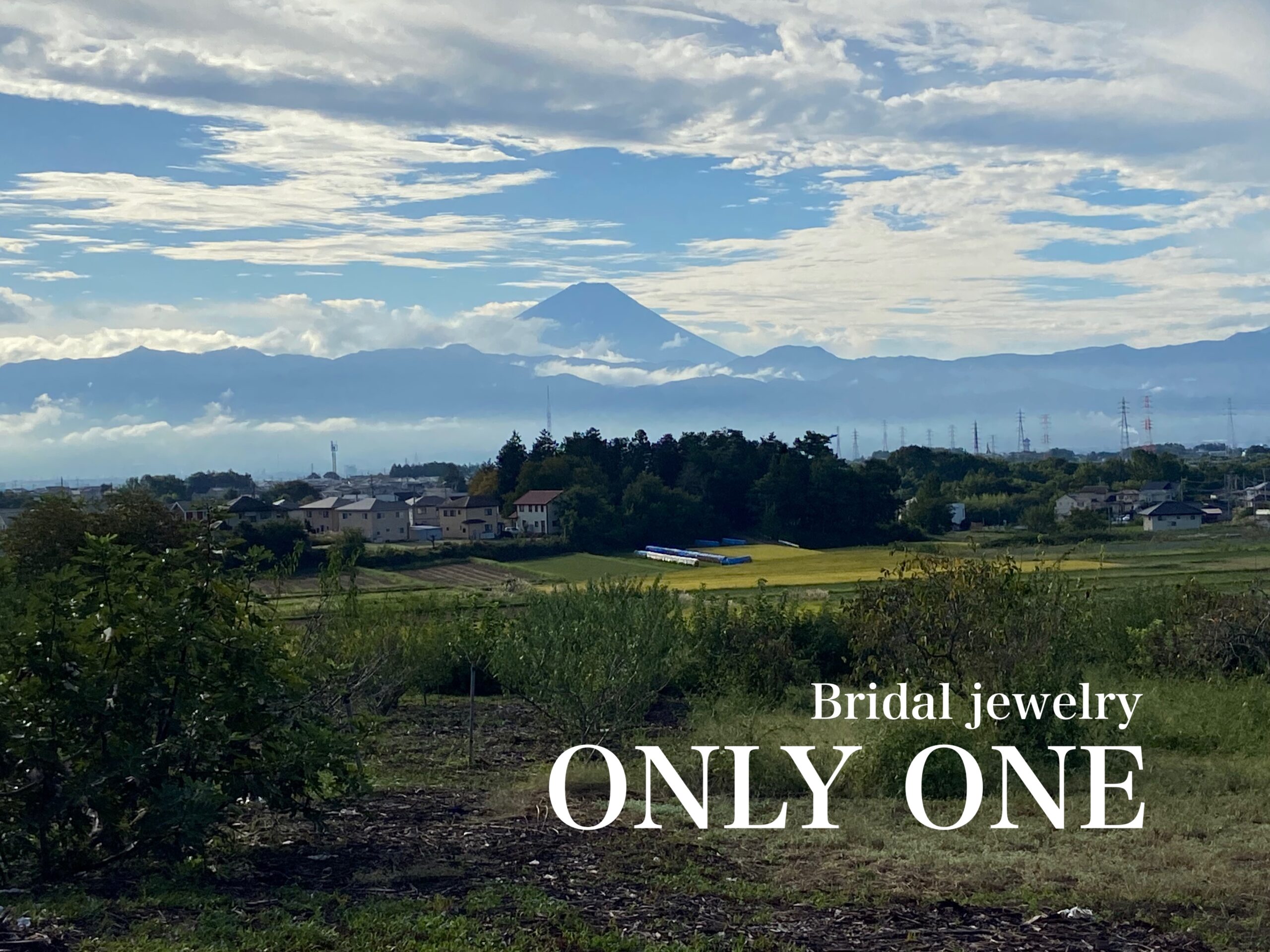 【山梨結婚指輪】散歩にて久しぶりの「富士山」