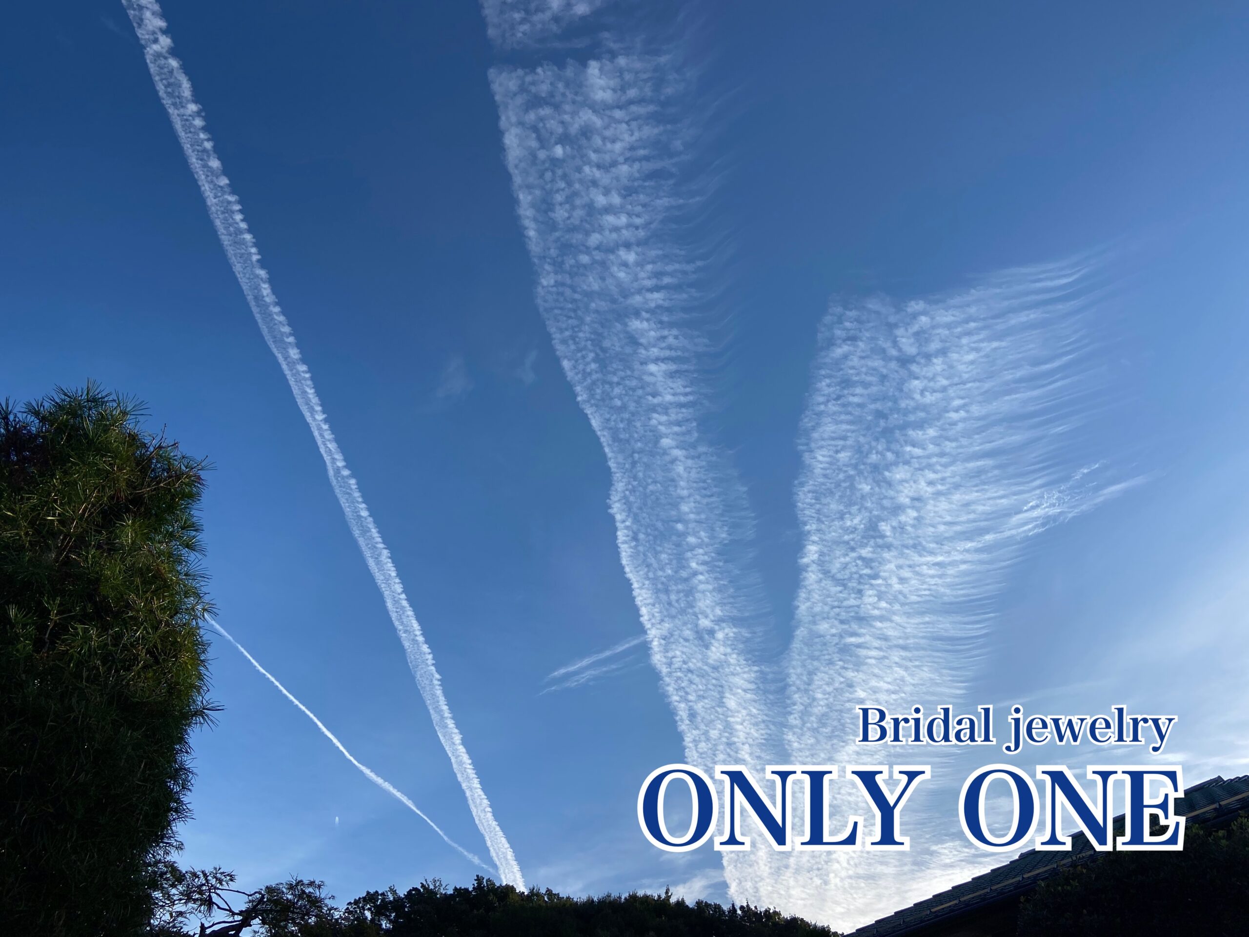 【山梨結婚指輪】「沢山の飛行機雲」散歩にて！