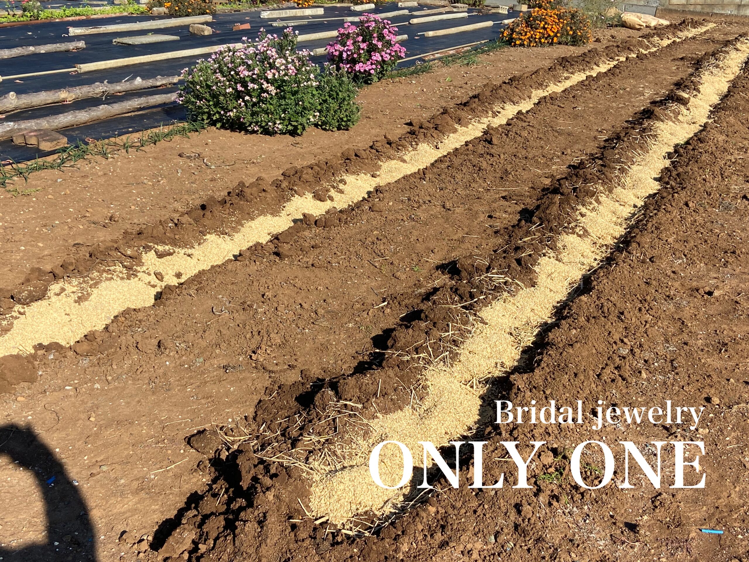 【山梨結婚指輪】来年のための土作り！