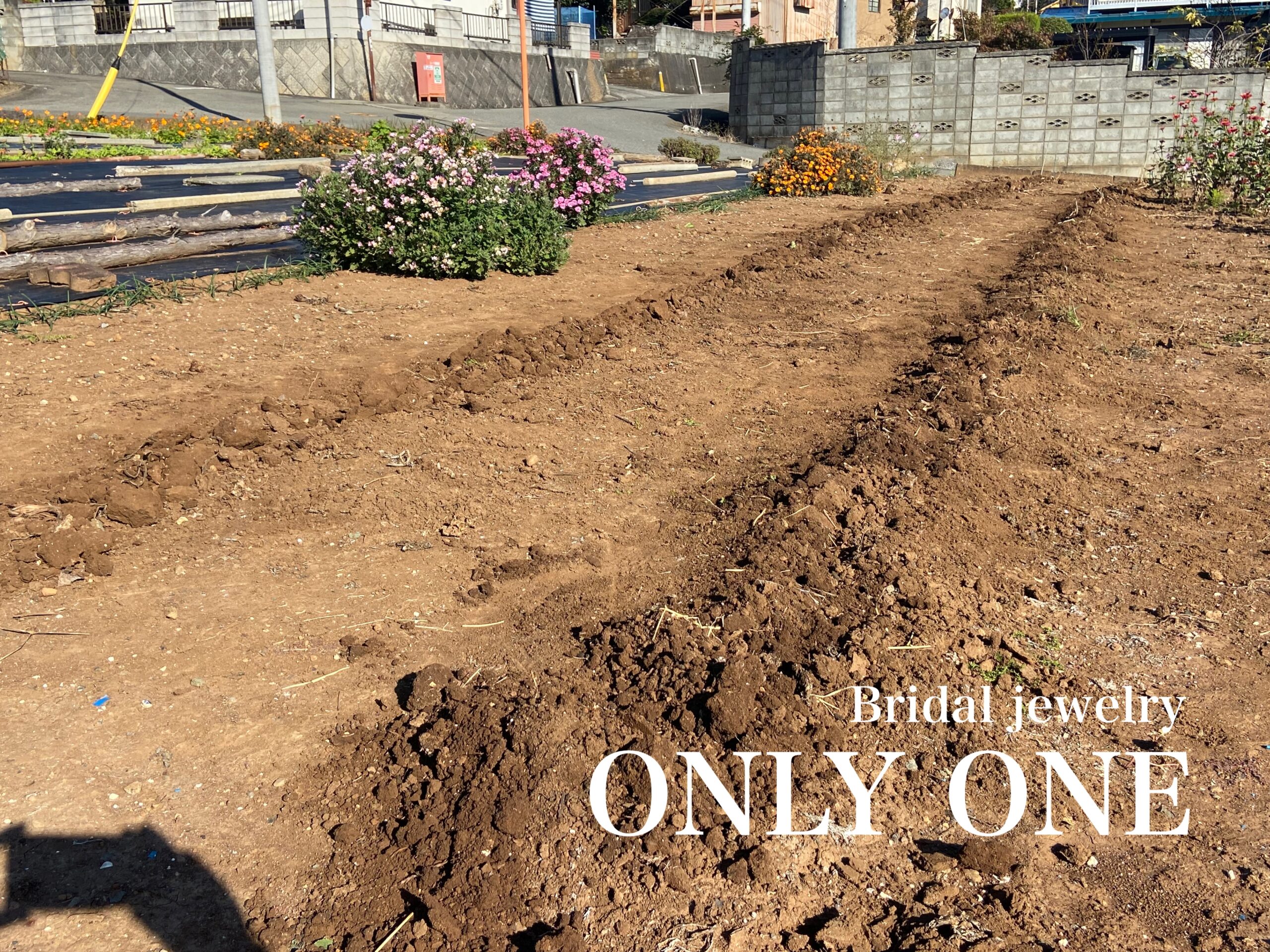 【山梨県結婚指輪】畑の「土づくり」