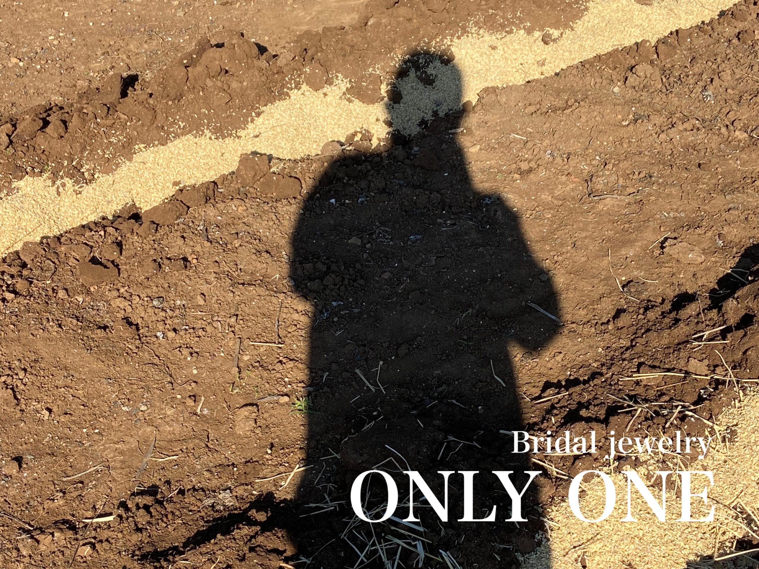 【山梨結婚指輪】来シーズンに向け「土づくり」